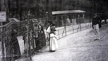 Africanas en exposición en una