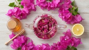 Flores de bugambilia frescas y