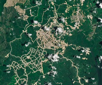 Los expertos llaman a Nusantara