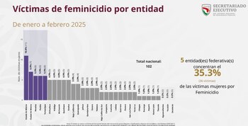 Feminicidios enero y febrero 2025
