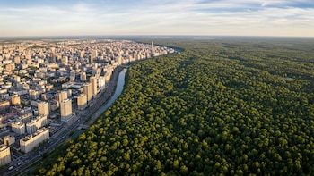 Calor extremo en las ciudades del mundo: cómo el cambio climático transforma la vida urbana
