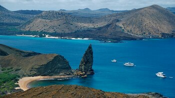Para cuidar a las Galápagos