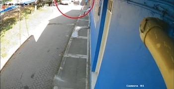 Ofrecen millonaria recompensa por la