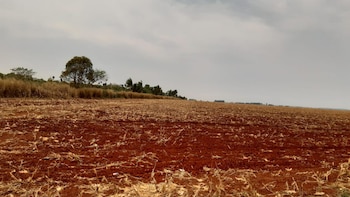 A principios de octubre, los