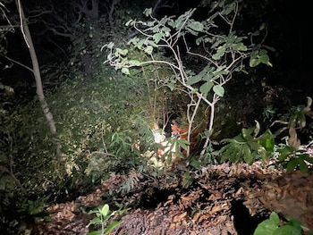 Delegaciones municipales y Protección Civil