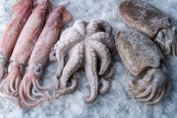 Tres calamares, un pulpo y dos sepias congelados dispuestos sobre una superficie de hielo picado.