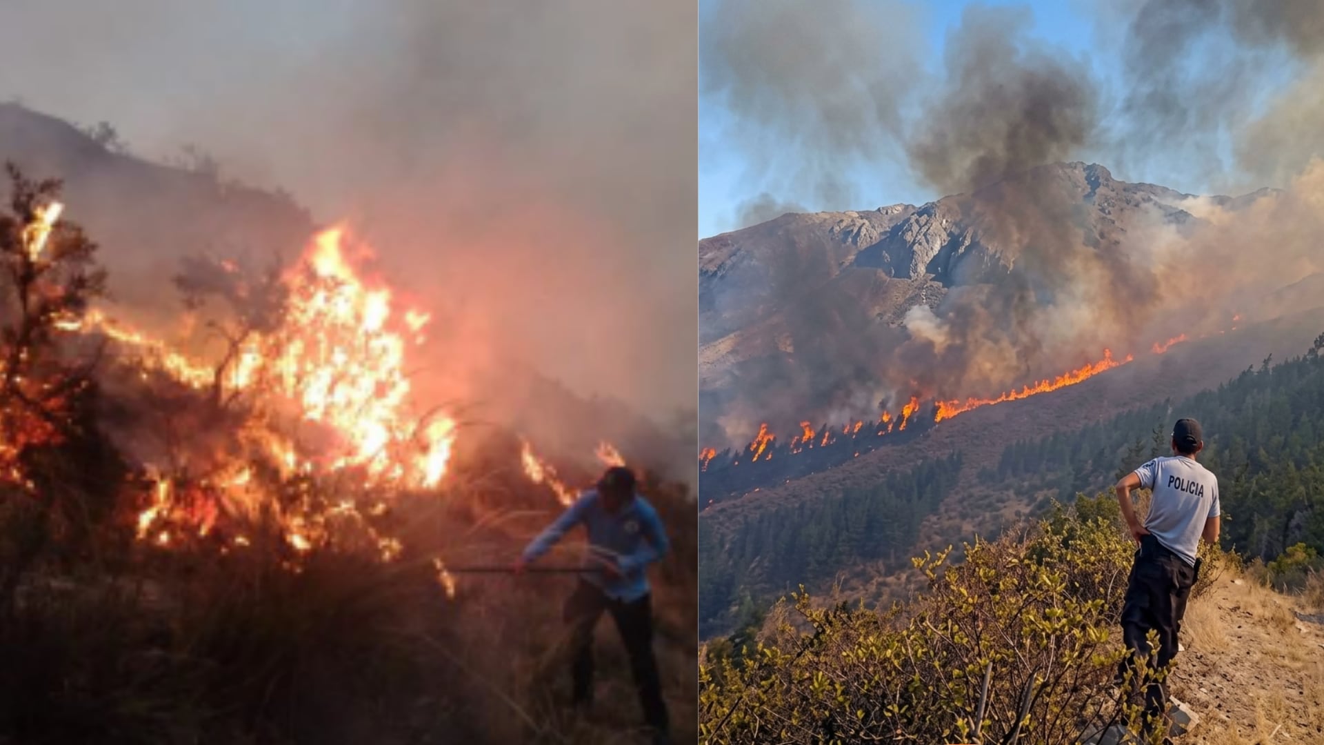 Efectivos de la Policía y brigadistas combaten los incendios forestales que afectan zonas montañosas en la región de Cusco. (Composicióin: Infobae Perú / COEN)