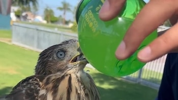 Un hombre de Los Ángeles