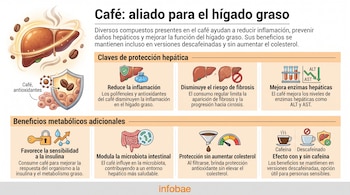 Infografía con título Café aliado para el hígado graso, ilustraciones de un hígado, granos de café, intestinos, pruebas de laboratorio y texto explicativo. Fuente Infobae.