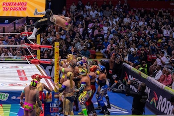 (CMLL / Diego Cedrix)