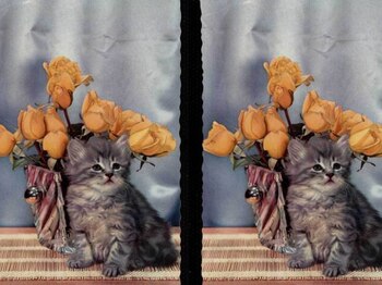 Collage de 'Gato con ramo