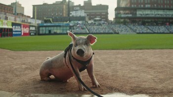 Mike Veeck pasa de la