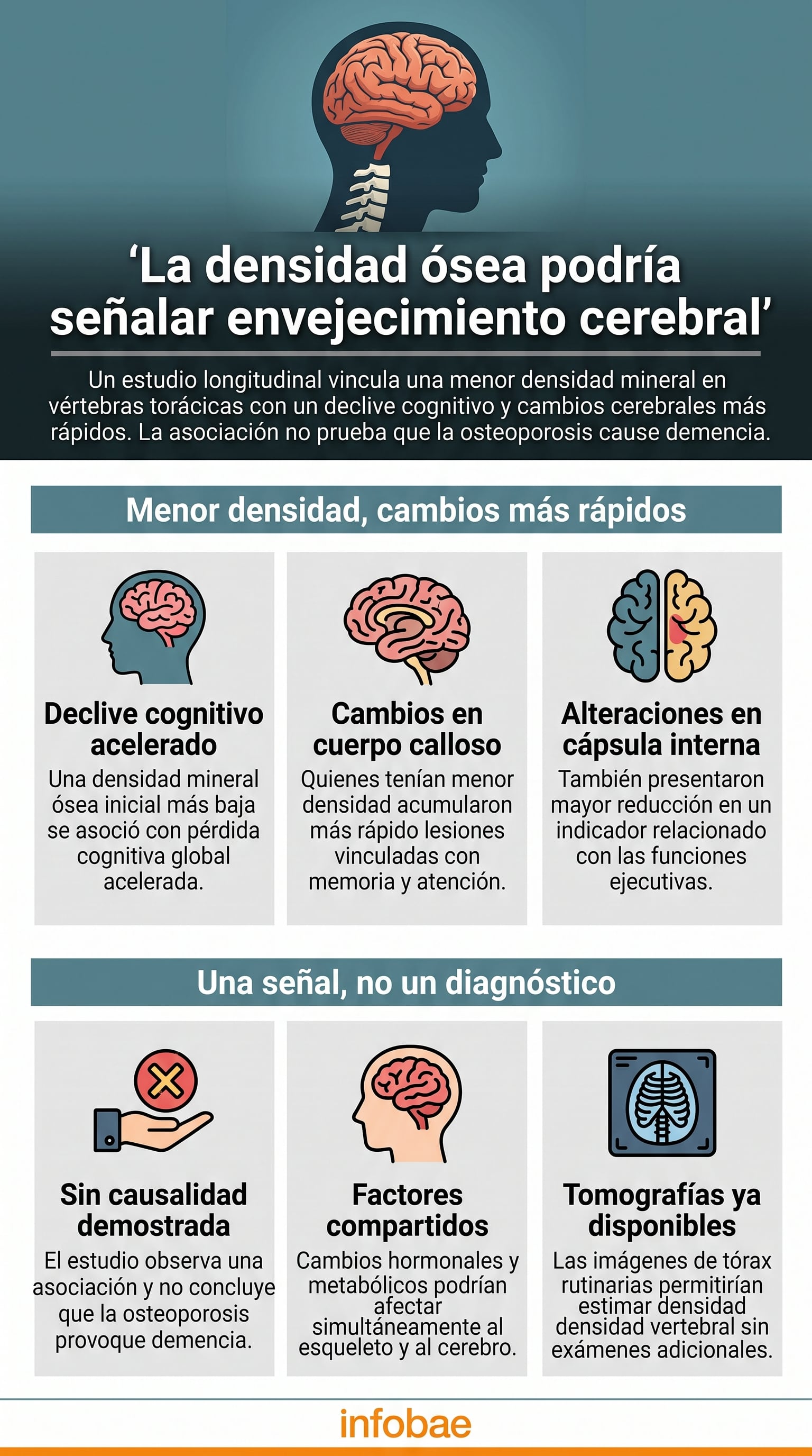 Una investigación de la Universidad Johns Hopkins señala que la pérdida de densidad ósea vertebral se relaciona con cambios en la estructura del cerebro y el declive cognitivo (Imagen Ilustrativa Infobae)