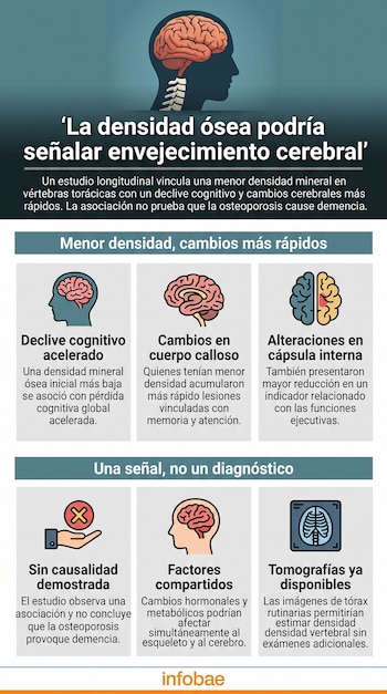 Infografía que contiene la ilustración de una cabeza con cerebro y columna vertebral, acompañada por seis cuadros con íconos explicativos.