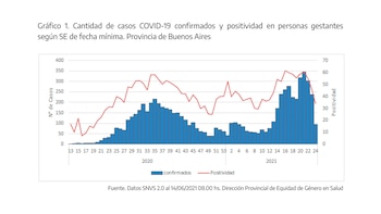 La muerte materna por Covid