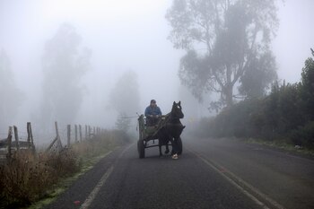 La ciudad de Temuco tiene