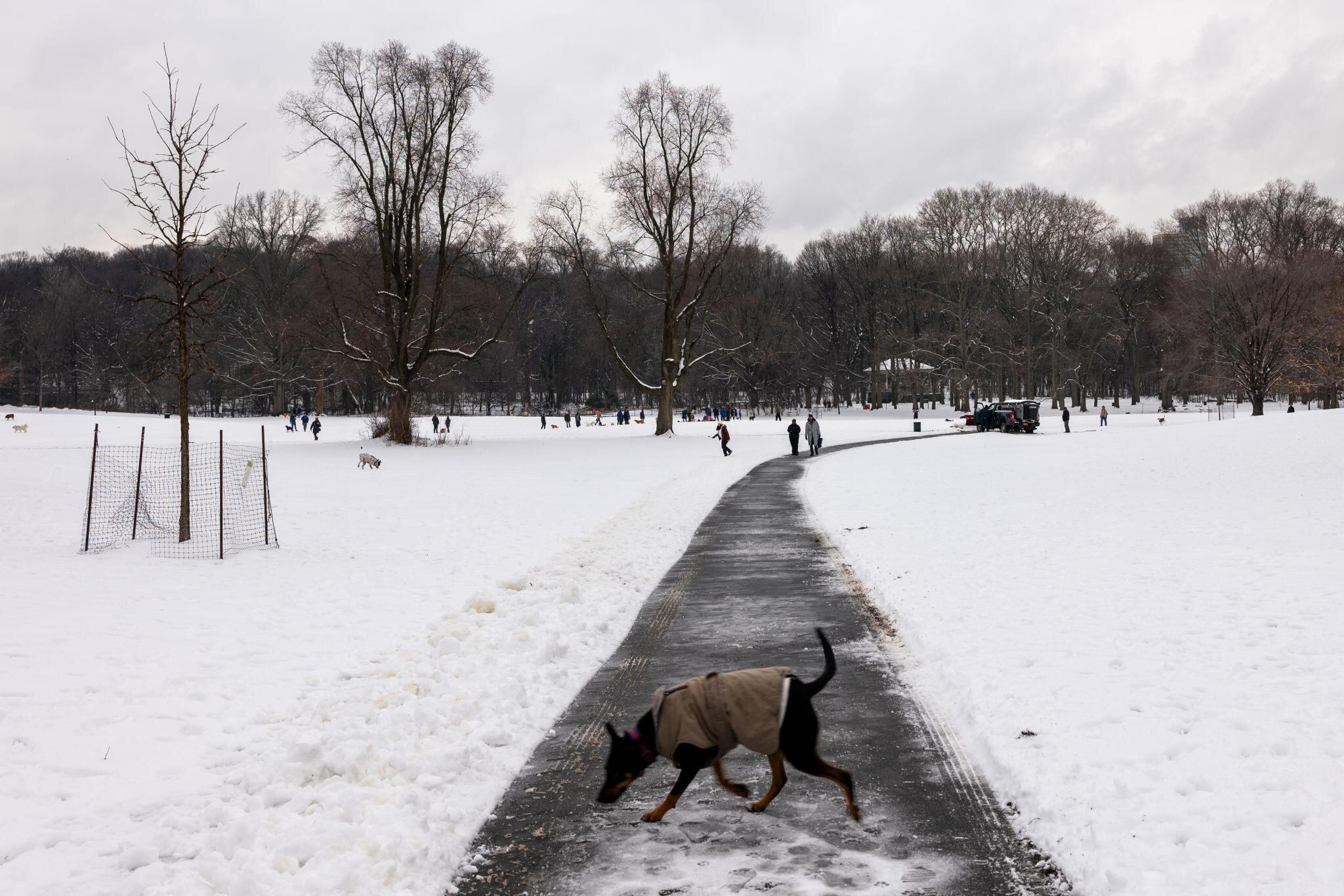 Nueva York restringió la circulación no esencial por una tormenta invernal que amenaza con convertirse en “ciclón bomba”