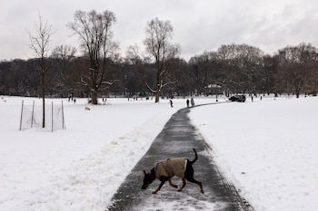 Residentes y visitantes recorren un