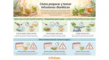 Infografía con instrucciones para preparar infusiones de cola de caballo, diente de león y perejil. Muestra tazas, hierbas, utensilios y calendarios.