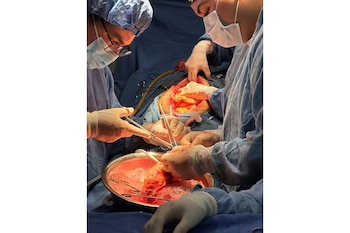 Profesionales de la salud del