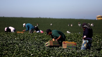 Gobierno de Sheinbaum presenta ‘Plan