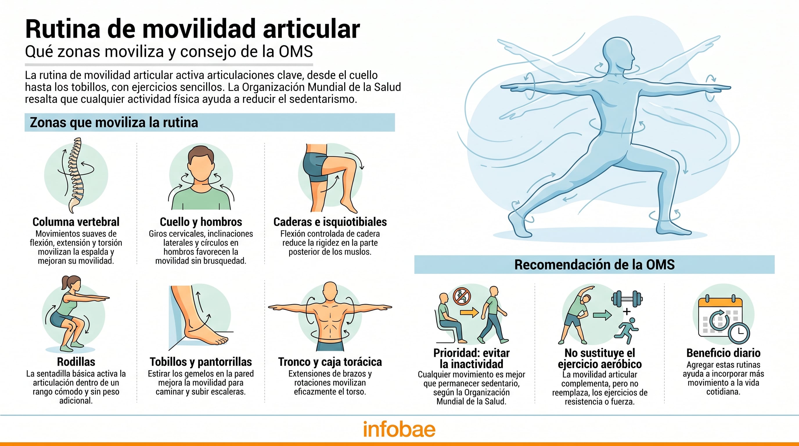 Rutina de movilidad articular y recomendaciones de la Organización Mundial de la Salud. (Imagen Ilustrativa Infobae)