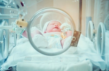 Imagen HC6WWHSY5FCOFNZ2FJJVDGLBU4