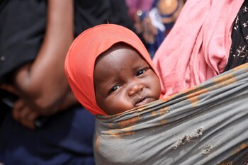 Los productos de leche en