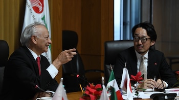Pemex y Japón acuerdan proyecto