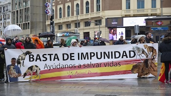 Animalistas denuncian el "abandono" que