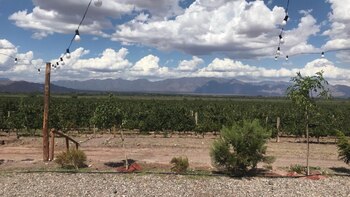 Altos de Tinogasta ofrece una