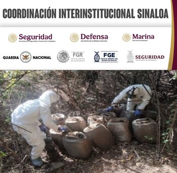 Narcolaboratorios en Sinaloa