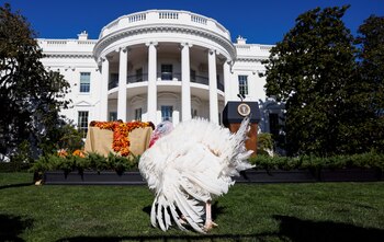 El origen del indulto presidencial