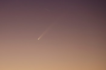 Se espera que sea un