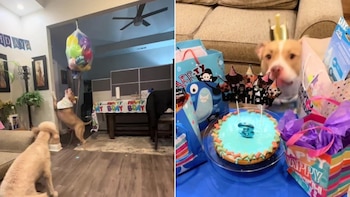 El cumpleaños número 3 de