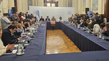 Debate en comisión de Ficha