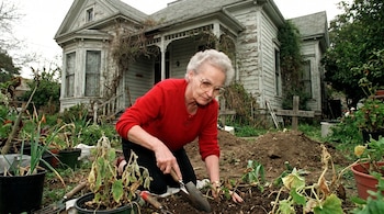 Una mujer mayor con gafas y suéter rojo se arrodilla en un jardín con una palita frente a una casa antigua y descuidada, rodeada de plantas y tierra.
