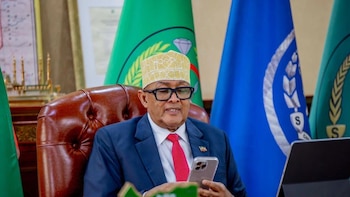 La Liga Árabe afirma que