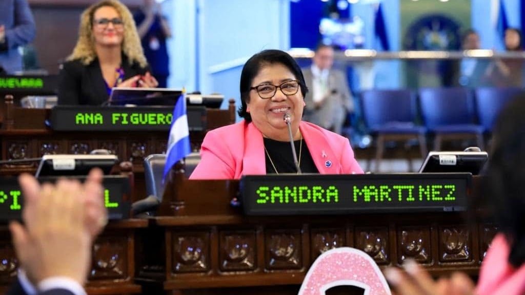 La legisladora afrontó n diagnóstico de cáncer, pero salió victoriosa mientras ejercía como funcionaria pública. (Foto cortesía S. Y. Martínez)