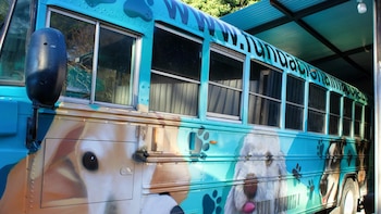 De bus común a hospital