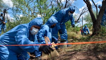 En julio, autoridades yaquis reportaron