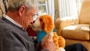 Los ancianos de Nueva York