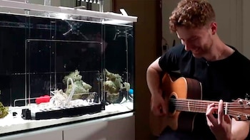 El entrenamiento de Tako en