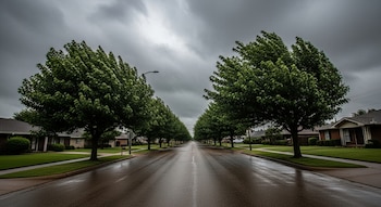 Una calle residencial en Oklahoma City con árboles altos y frondosos cuyas hojas se doblan por el viento bajo un cielo muy nublado y oscuro. El asfalto está mojado.