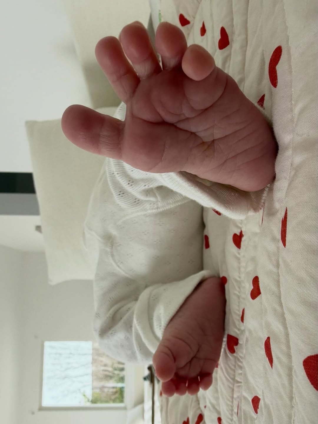 Los diminutos pies de Dante sobre una manta de corazones rojos