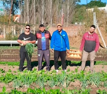 (Instagram/taxista.en.accion)