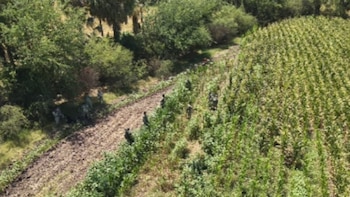 No hubo personas detenidas en