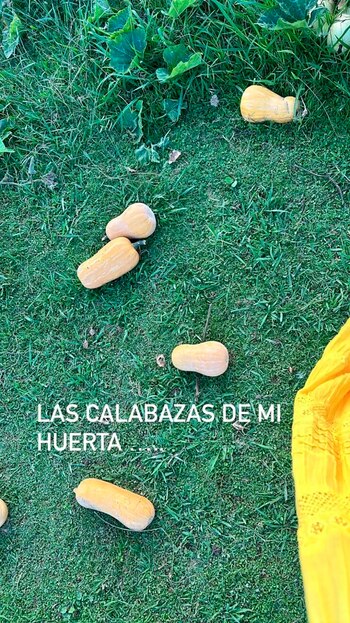 Nicole Neumann tiene su propia