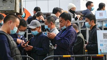 Los trabajadores del sector de