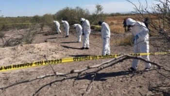 Agentes del Ministerio Público y